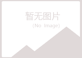 霞山区寒安会计有限公司